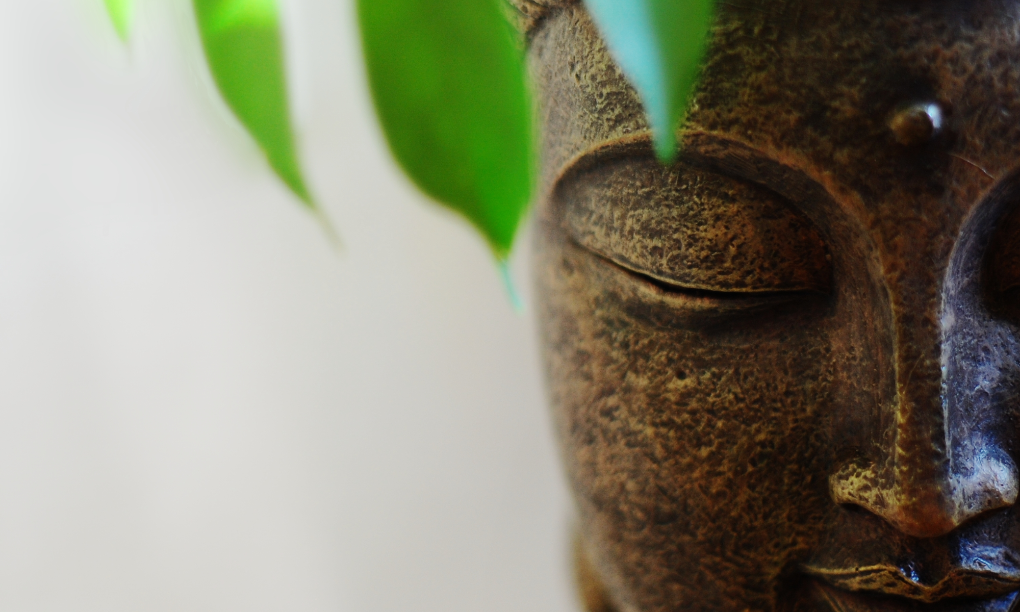 Buddha head statue with leaves